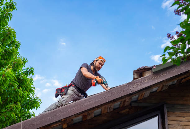 Roofing repair and installation